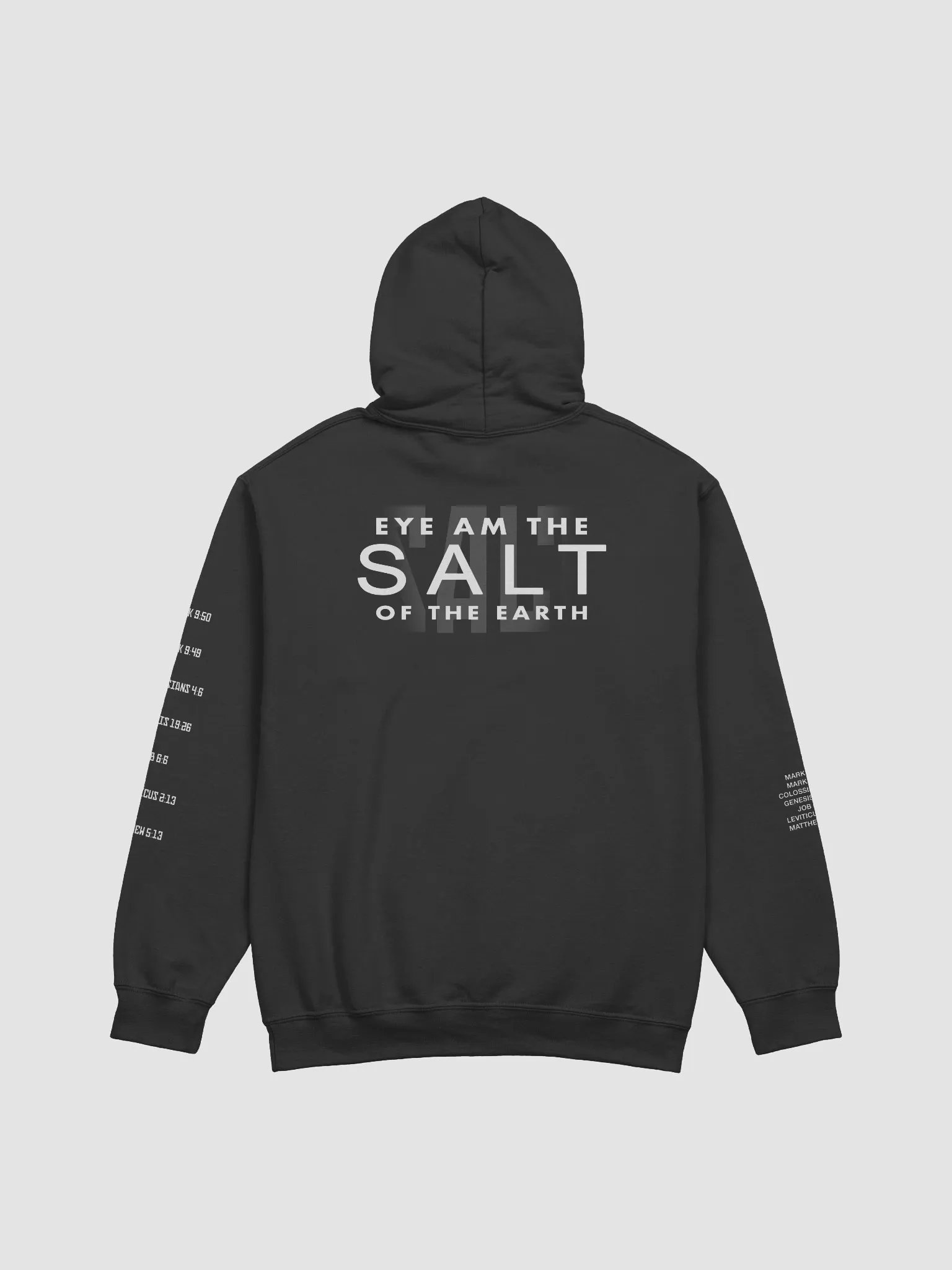 SALT Hoodie product image (4)