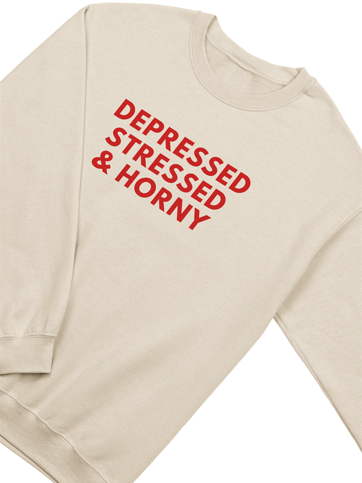 Depressed Stressed & Horny Sweatshirt product image (2)
