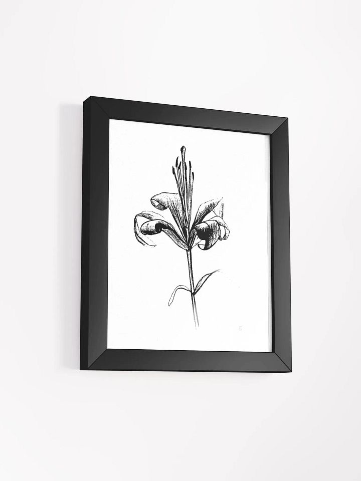 Elegant Lily Bloom Framed Poster - Fine Flower Light product image (12)