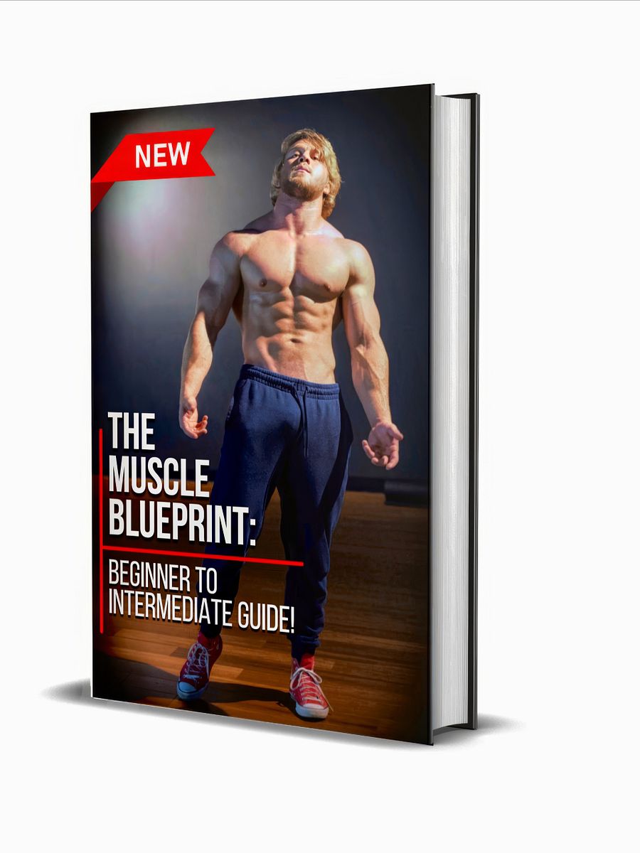 The Muscle Building BluePrint: Beginner To Advance Guide! product image (3)