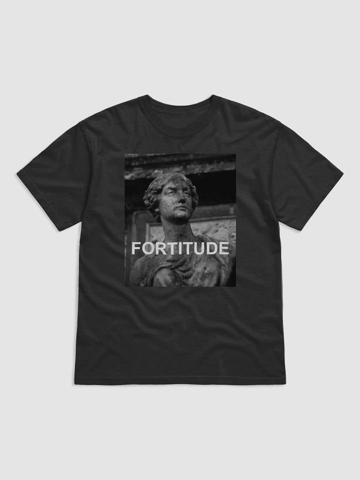 Fortitude T-Shirt product image (1)