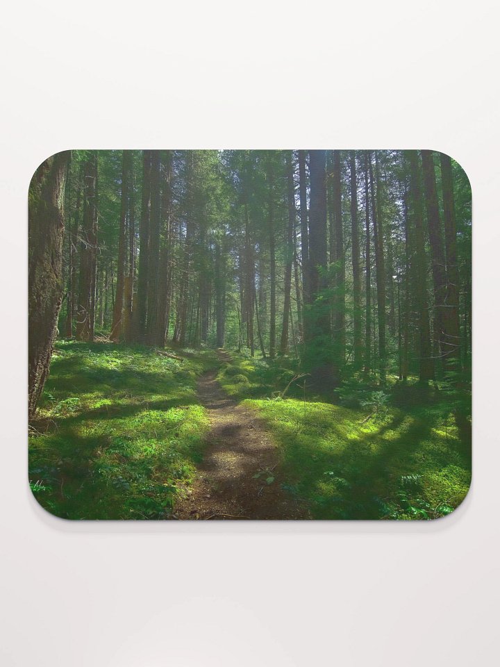 Lower Dungeness Trail Timber sun lighting Mouse Pad product image (2)