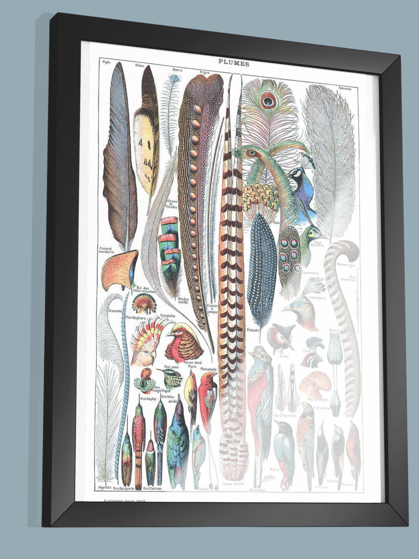 Types de plumes Larousse pour tous 1907–1910 product image (3)