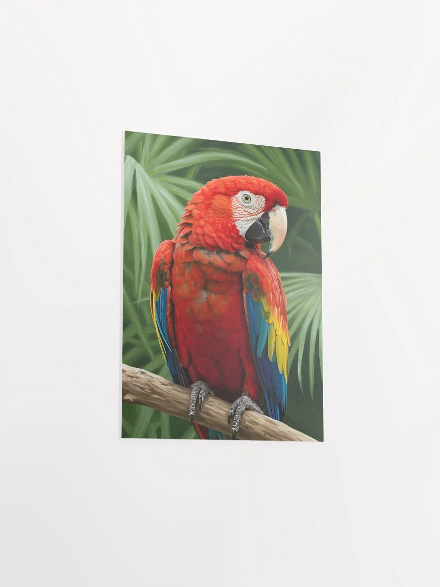 Scarlet Macaw: The Regal Sentinel Poster product image (24)