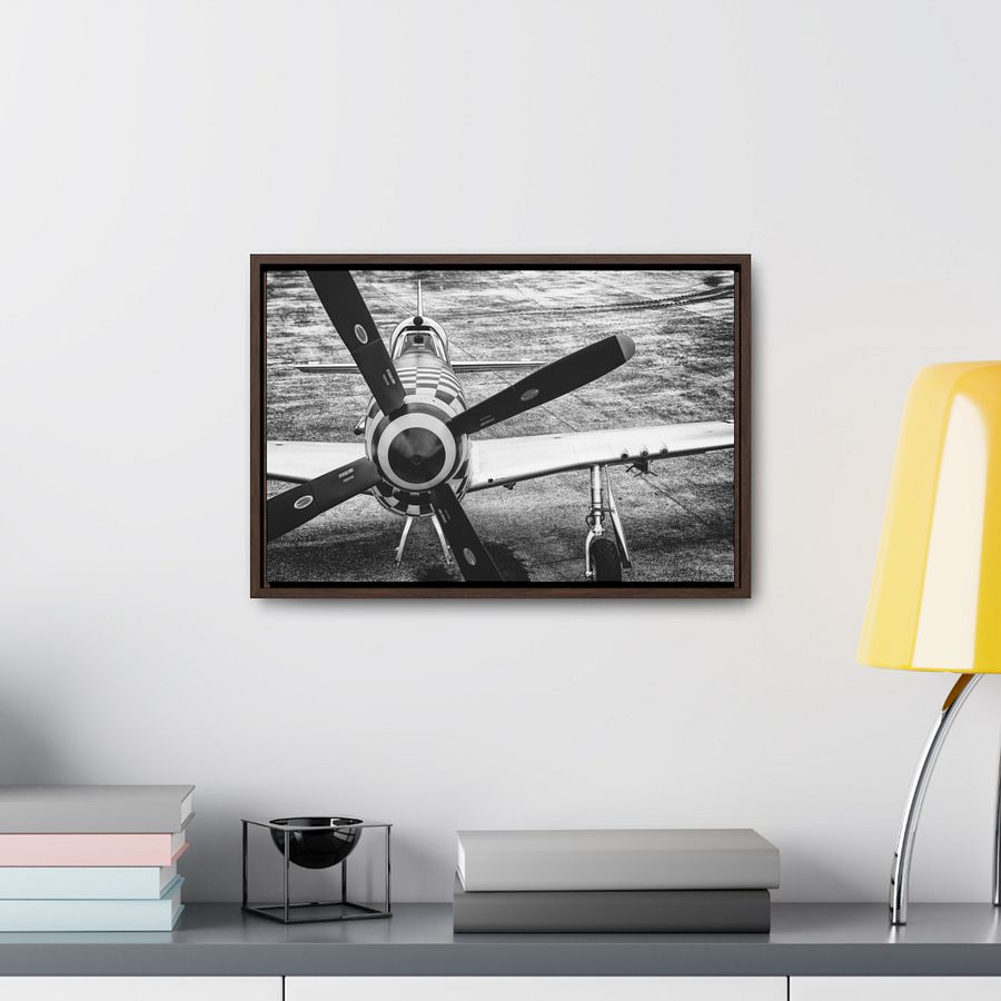 Air-to-Air Photo Session product image (9)