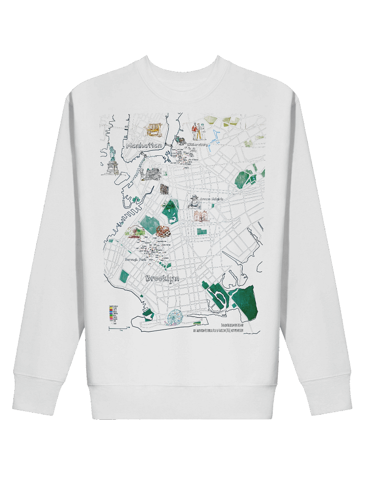 The Big Map Sweater product image (6)