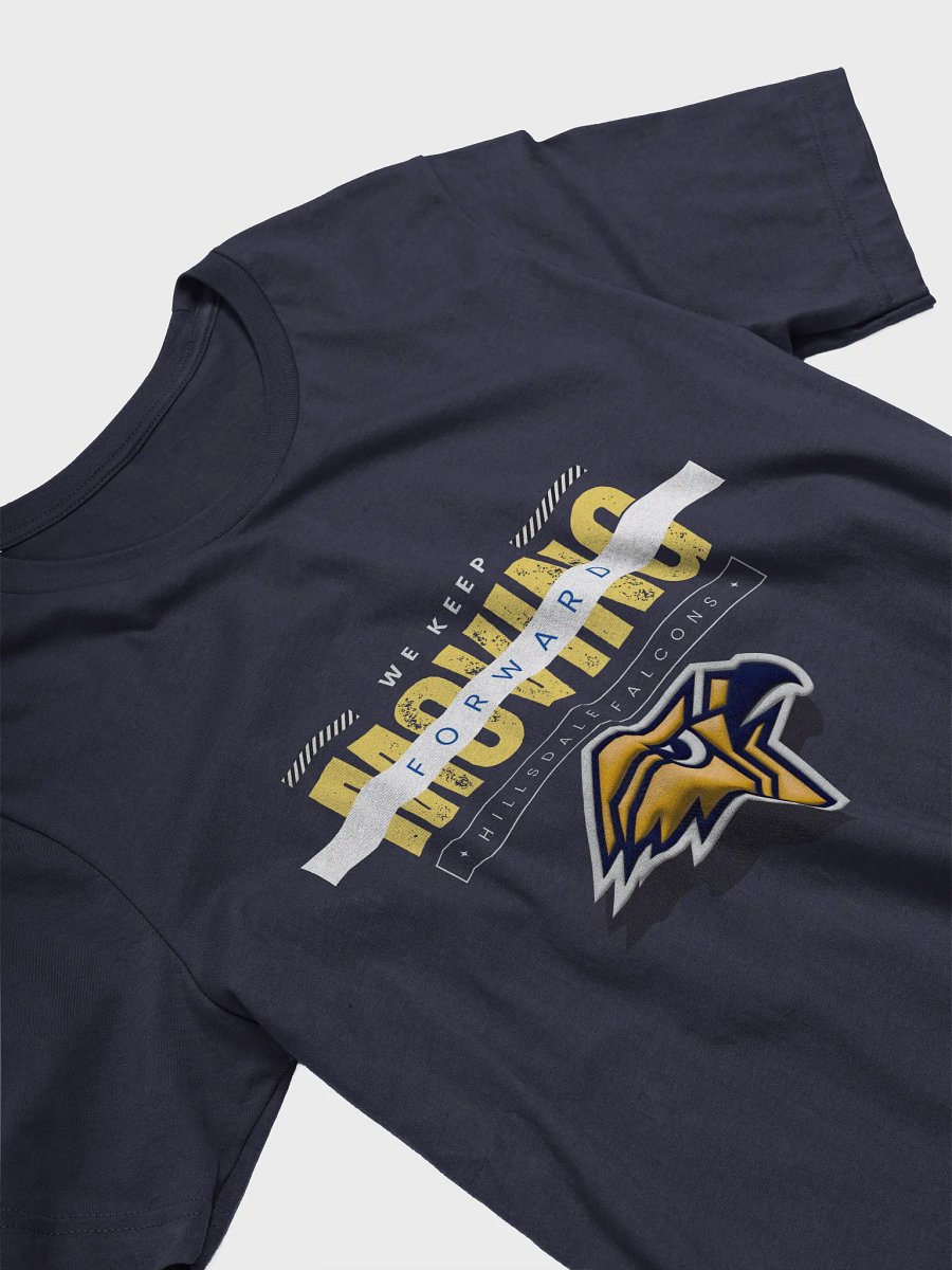 Hillsdale Falcons T-Shirt product image (8)
