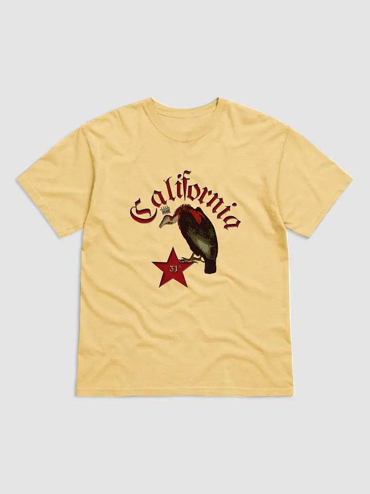 California Vulture product image (2)