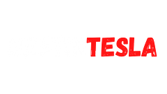 BestInTESLA