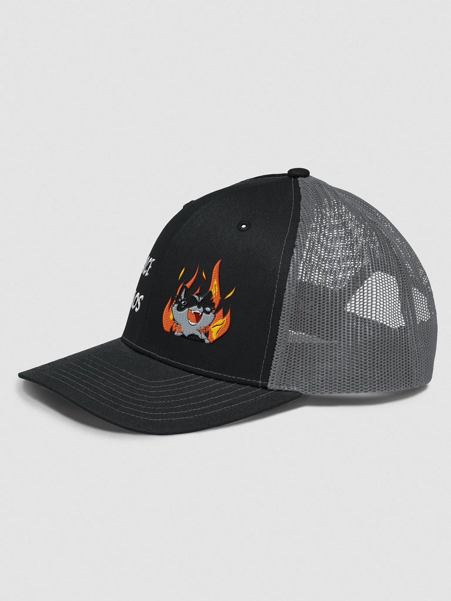 Embracing Chaos Racoon Hat product image (2)