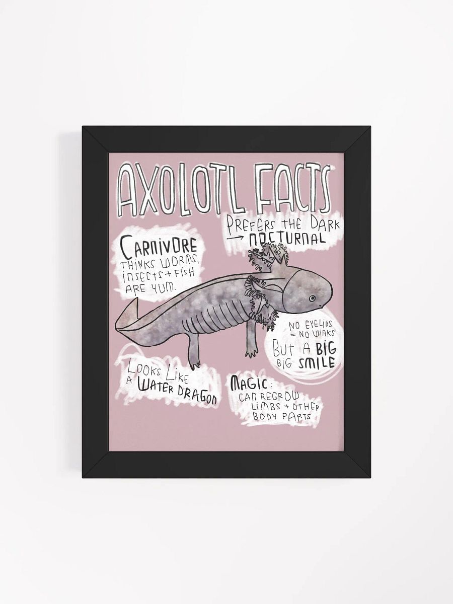 Axolotl Fun Facts, Axolotl Trivia product image (20)