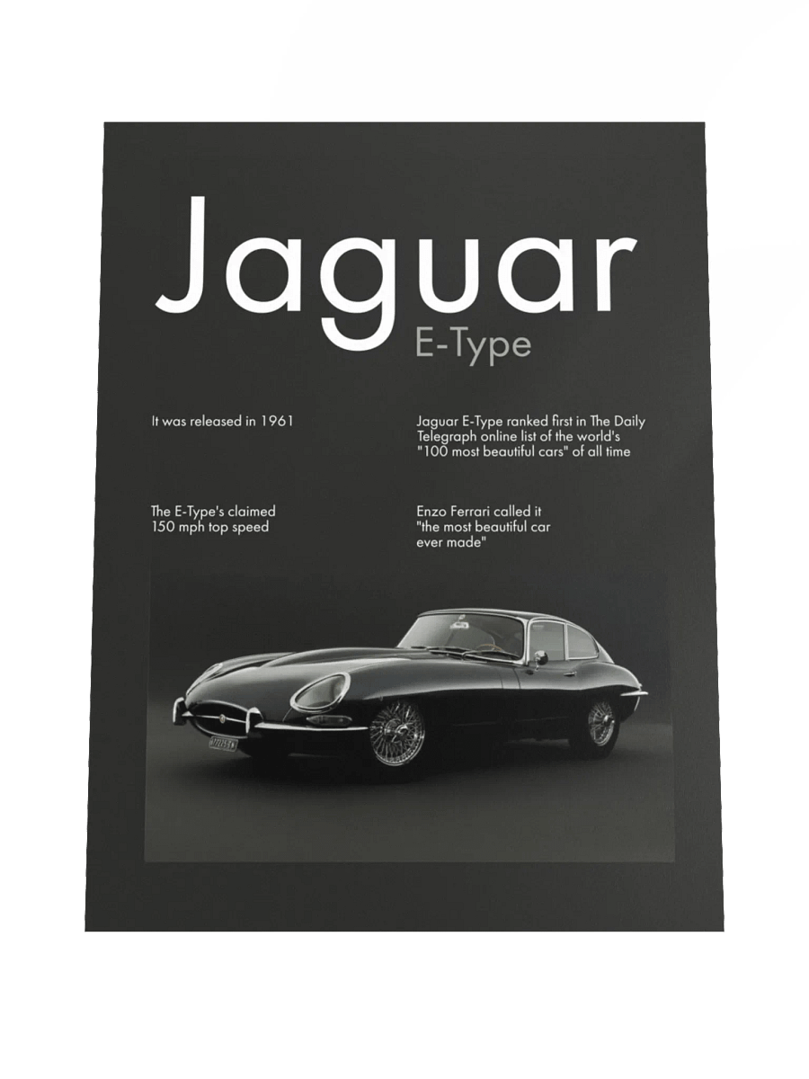 JAGUAR ETYPE product image (4)