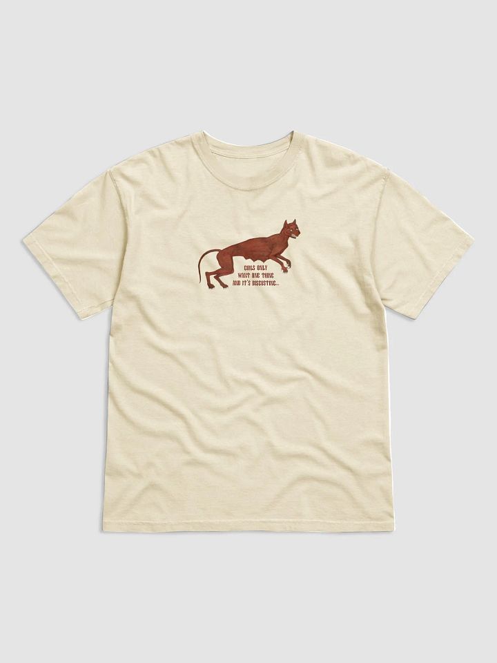 'Girls Only Want One Thing And It's Disgusting...' T Shirt (colours available) product image (1)