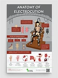 Anatomy of Electrocution 12