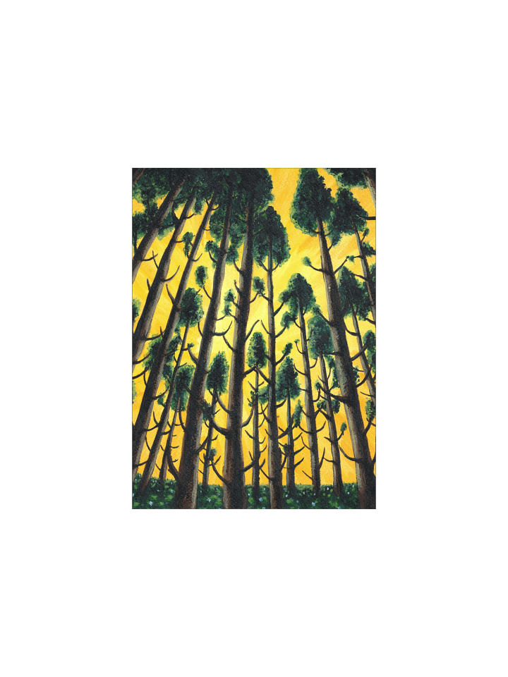 The Cedar Grove Poster product image (1)