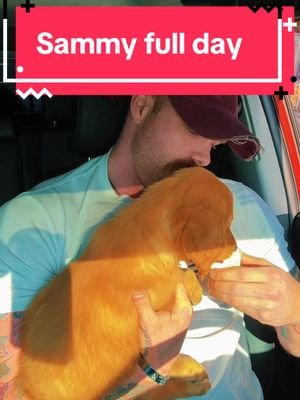 Thank you for choosing me Sammy girl 💜 #servicedog #puppy #dogsoftiktok #happy #dad