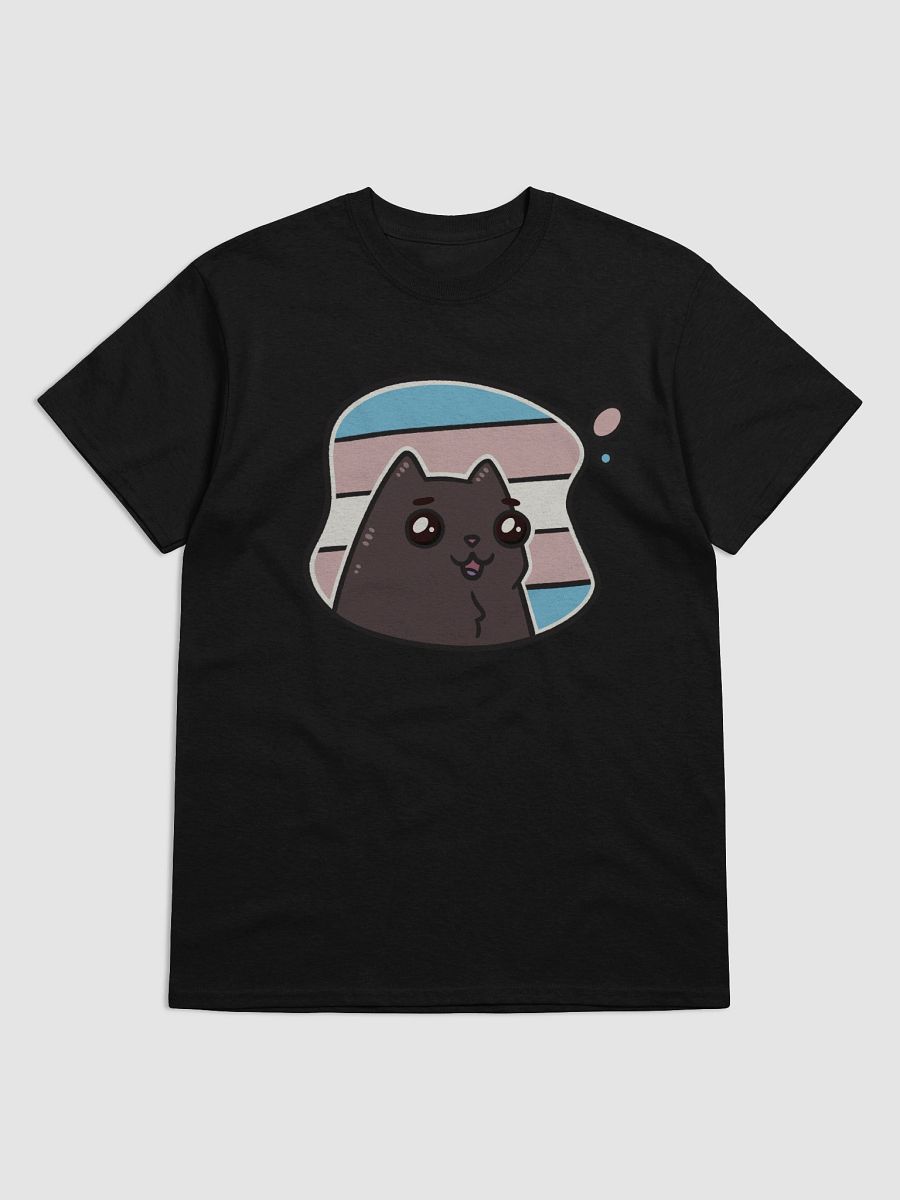 t-shirt : void transgender product image (1)