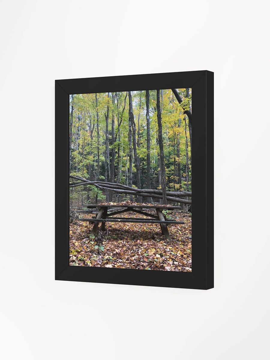 Picnic Table in the Fall High Quality Matte Poster product image (3)