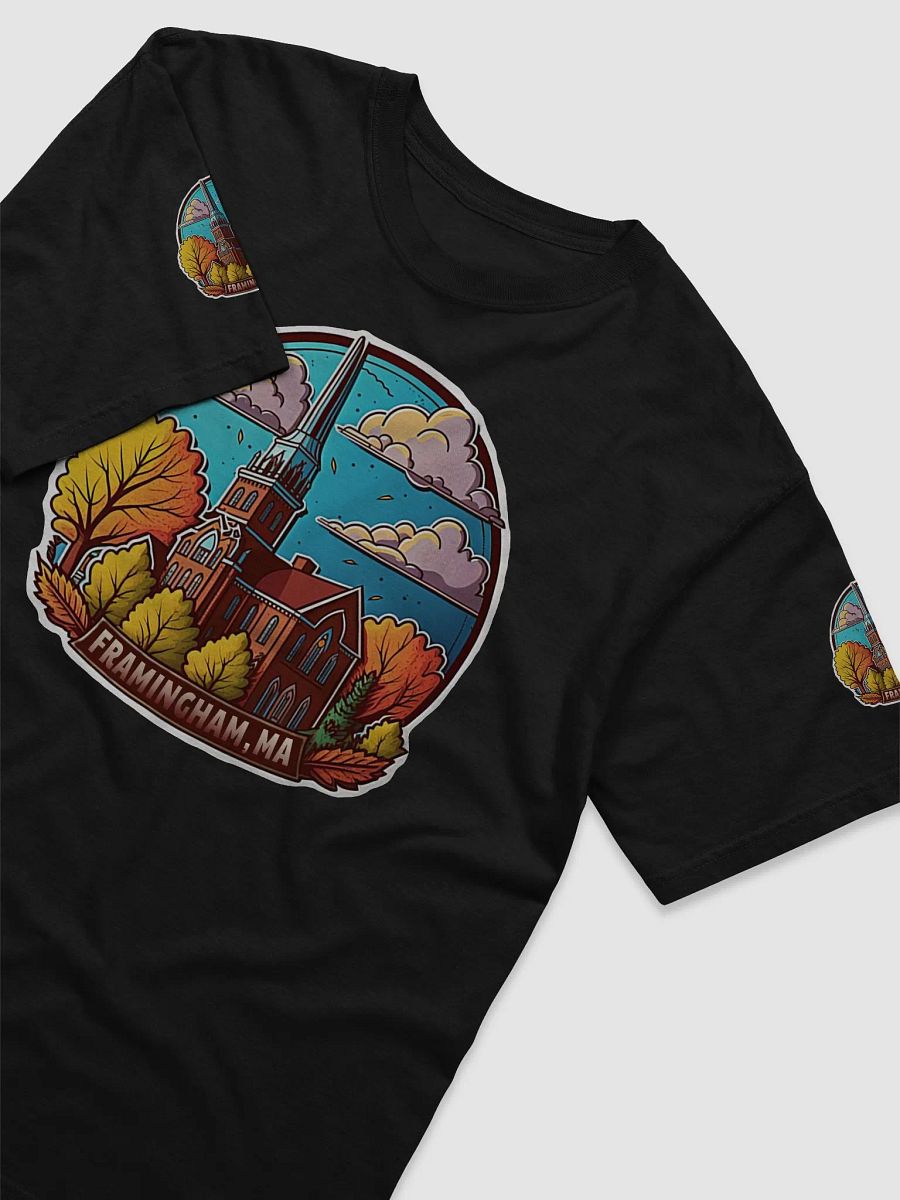 Framingham Massachusetts product image (27)