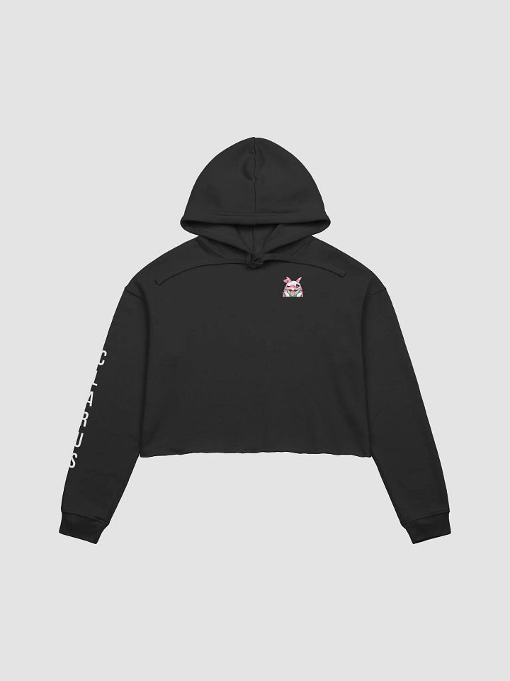 Polaris Crop Hoodie product image (1)