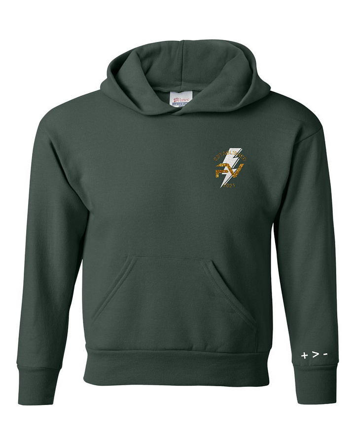 Kids Forest Green Established Hoodie product image (1)