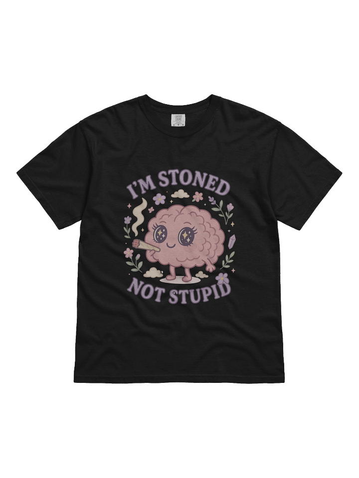 “I’m Stoned, Not Stupid” T-Shirt product image (1)