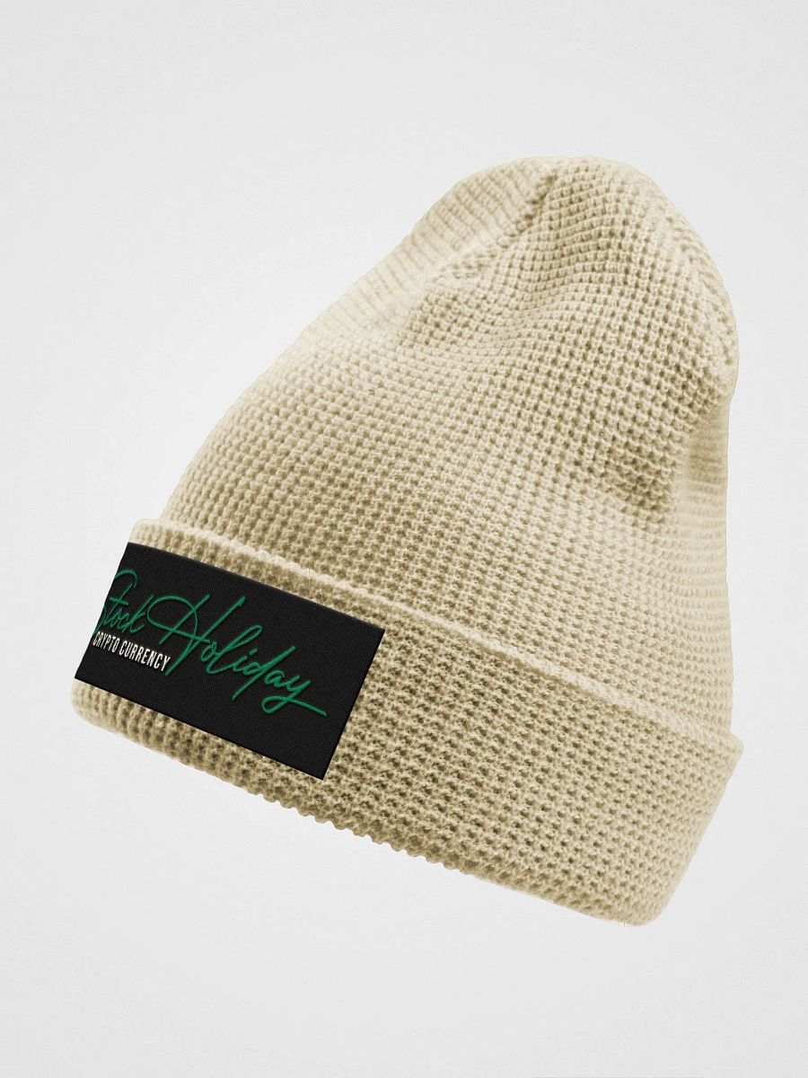 Stock Holiday Beanie Cap product image (8)
