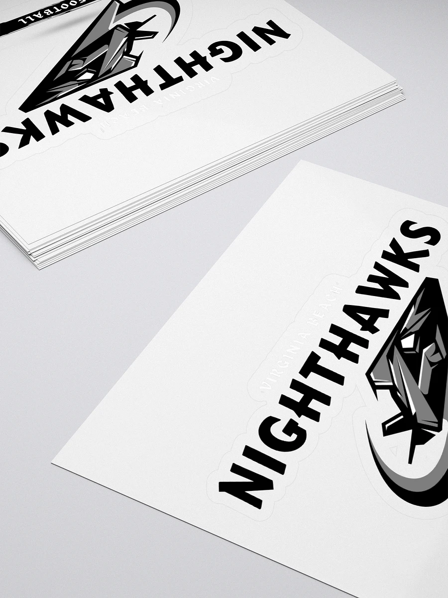 Virginia Beach Nighthawks Stickers product image (4)