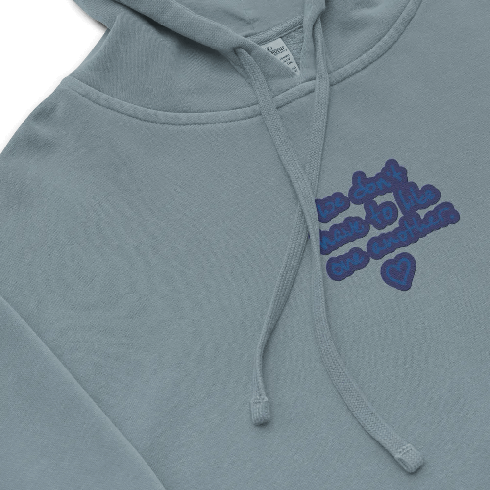 ONE ANOTHER (lake) embroidered pigment hoodie product image (1)
