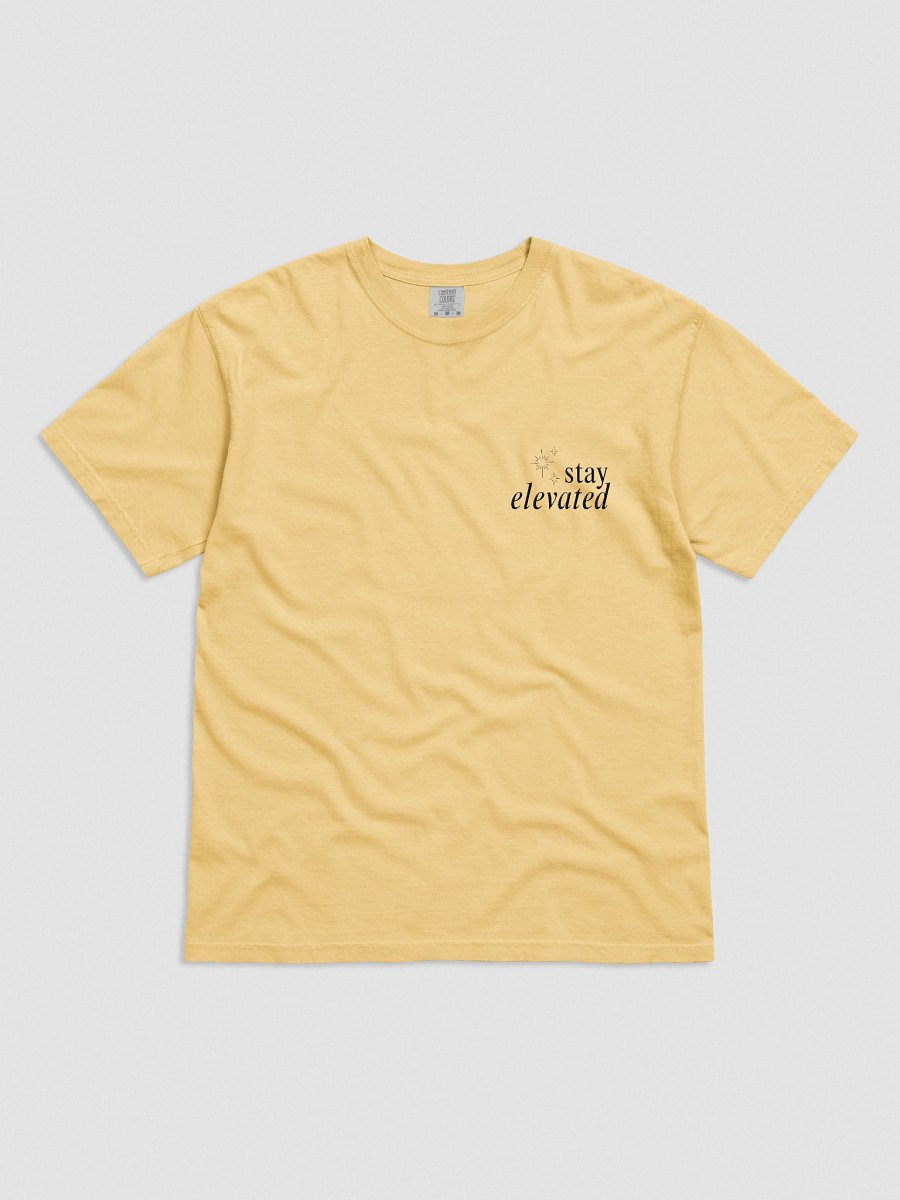 Stay Elevated Embroidered Tee (Light) product image (1)