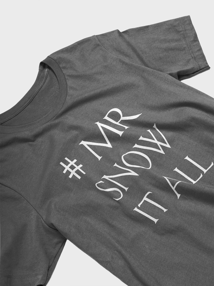 Mr Snow It All - Unisex T-shirt Bella Canvas 3001 product image (13)