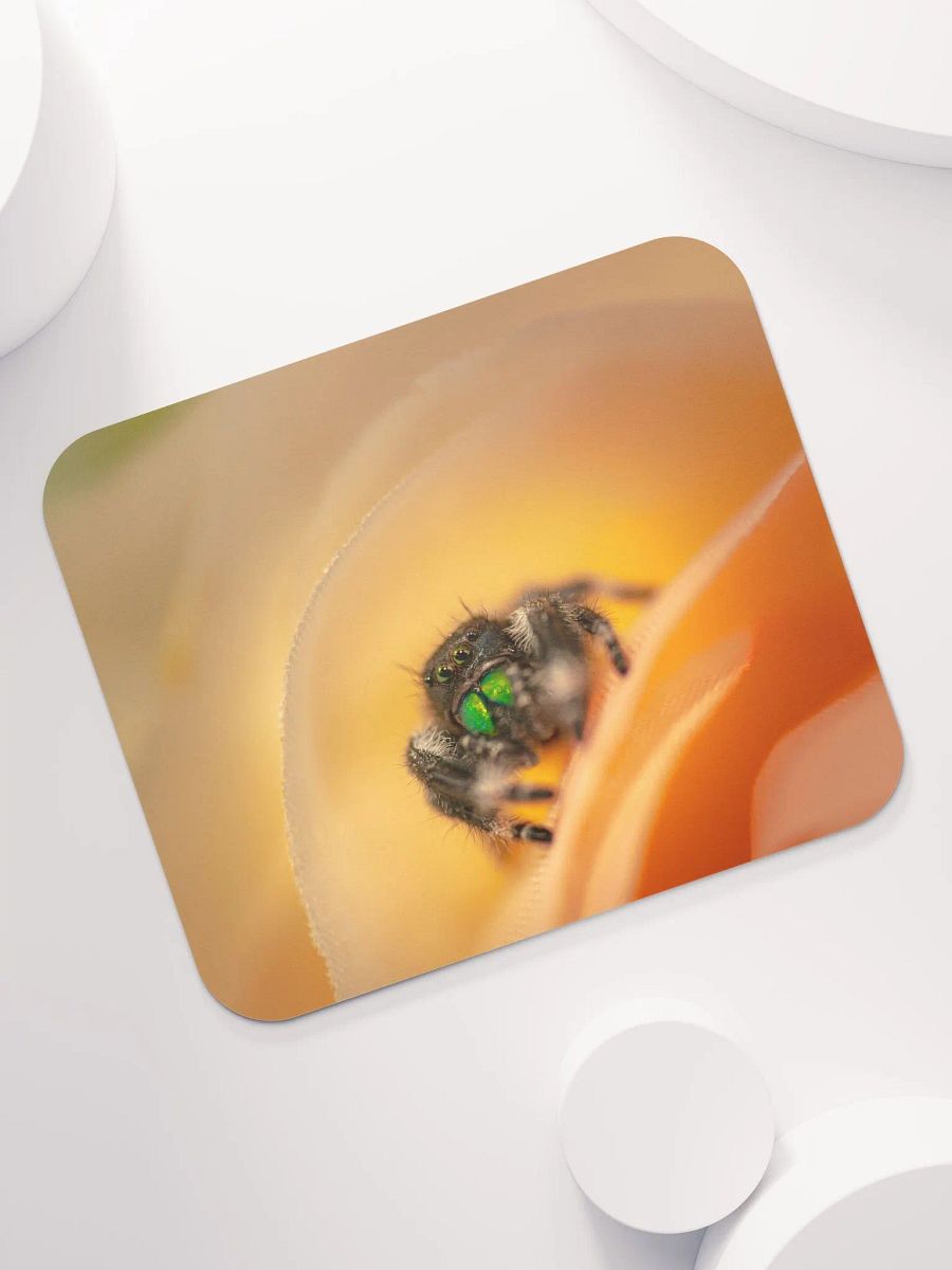 Carl's Pad product image (7)