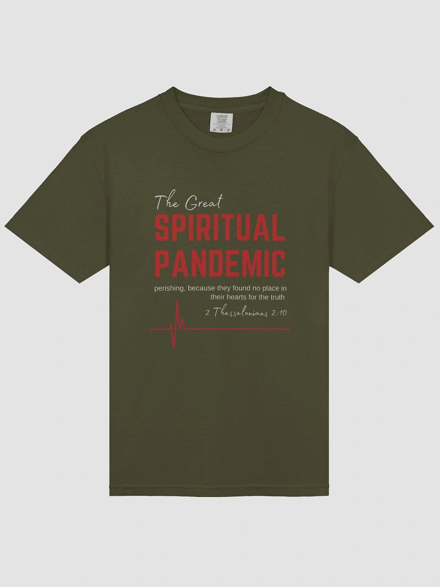 The Great Spiritual Pandemic Heavyweight Tee product image (3)