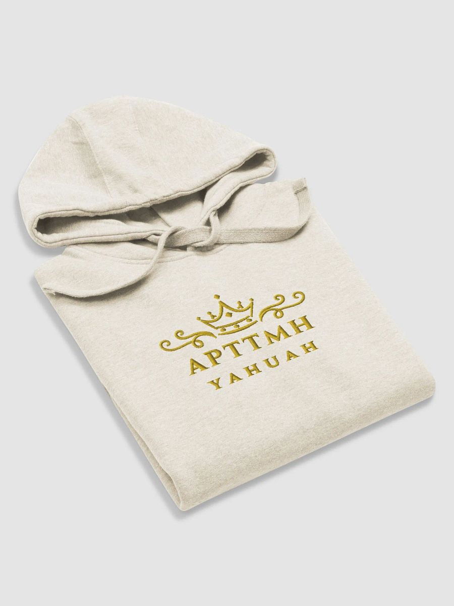 APTTMH Premium Hoodie product image (4)
