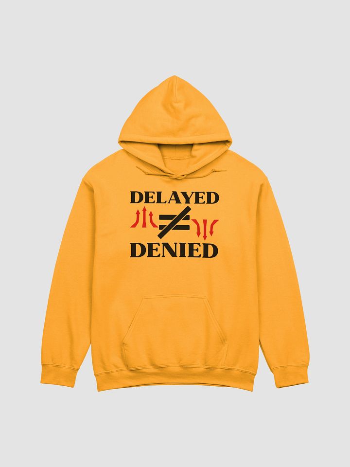 Delayed Not Denied Gildan Hoodie product image (12)