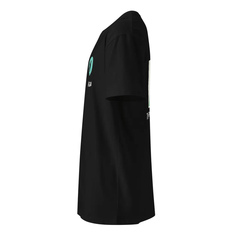 Kaspa Trilemma Solved Logo Premium Quality (unisex) product image (18)
