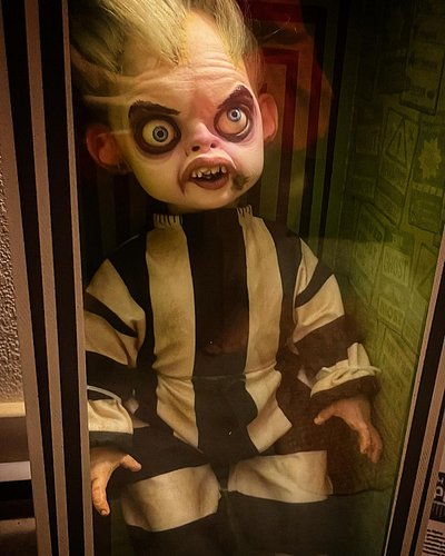 BIGGEST of thank yous to @irishboy1996 for my baby beetlejuice. My mom finally had a grandchild. 😆 
.
.
.
BEST BIRTHDAY PRESE...