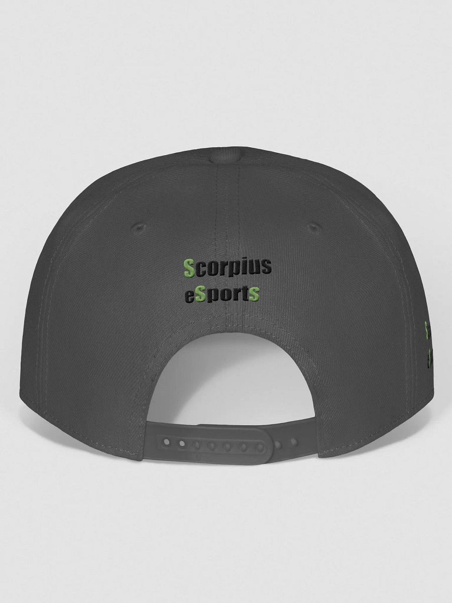 Scorpius eSports Green Snapback Cap product image (44)