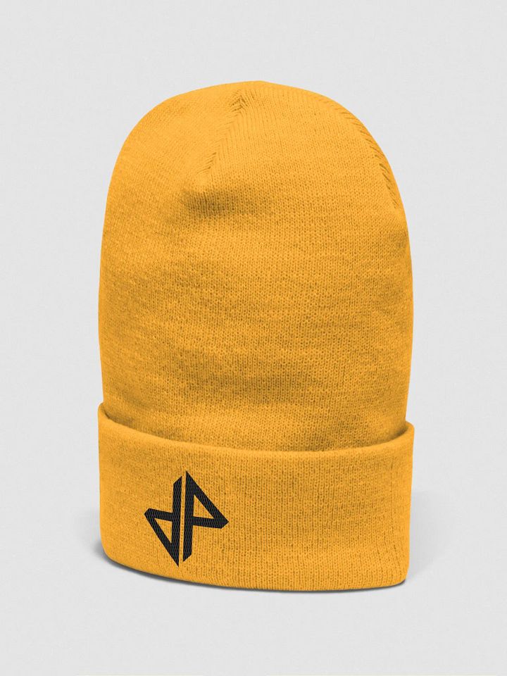 DP Logo Beanie (Black) product image (2)