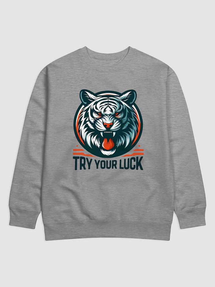 TRY YOUR LUCK product image (1)