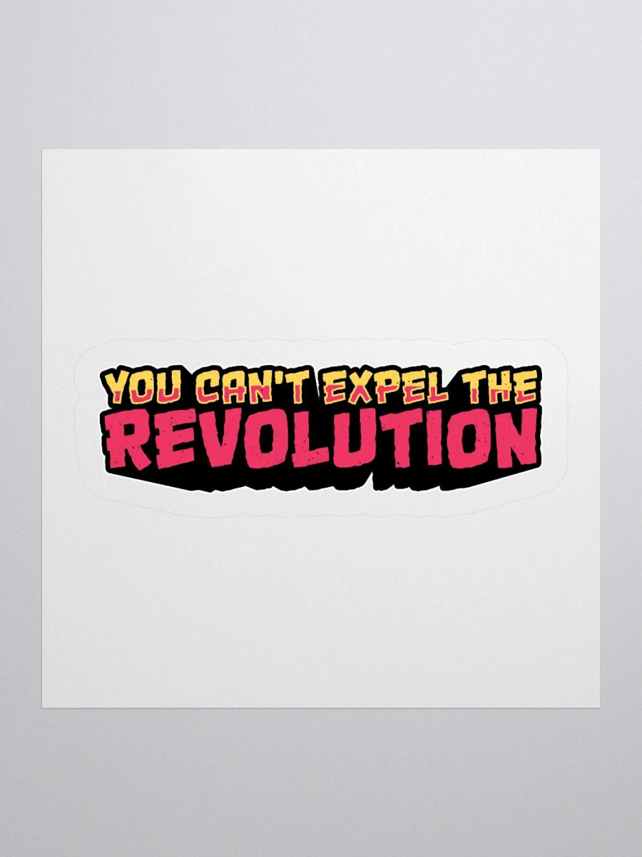 You Can't Expel The Revolution Sticker product image (1)