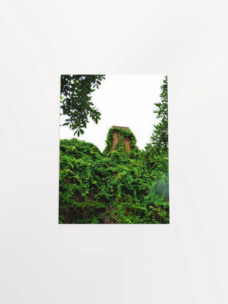 Plant Over-Growth product image (50)