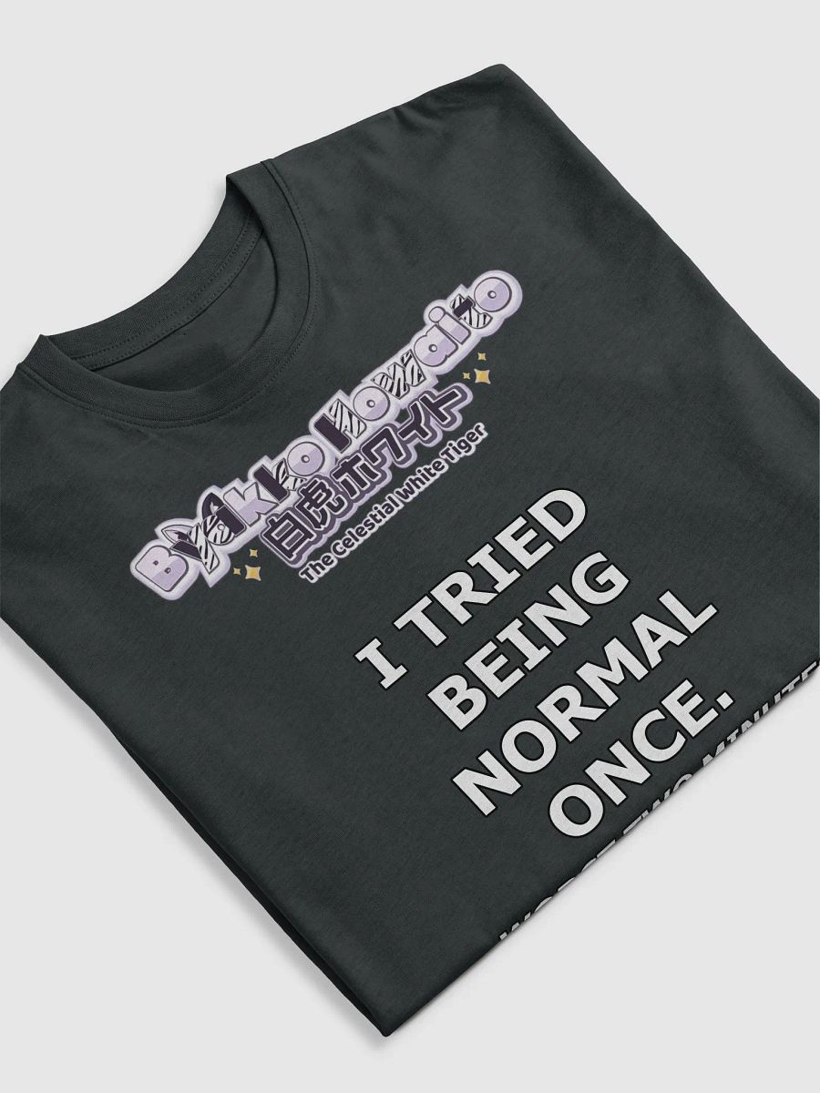 Premium Heavyweight Tee - Byakko Being Normal Edition product image (27)