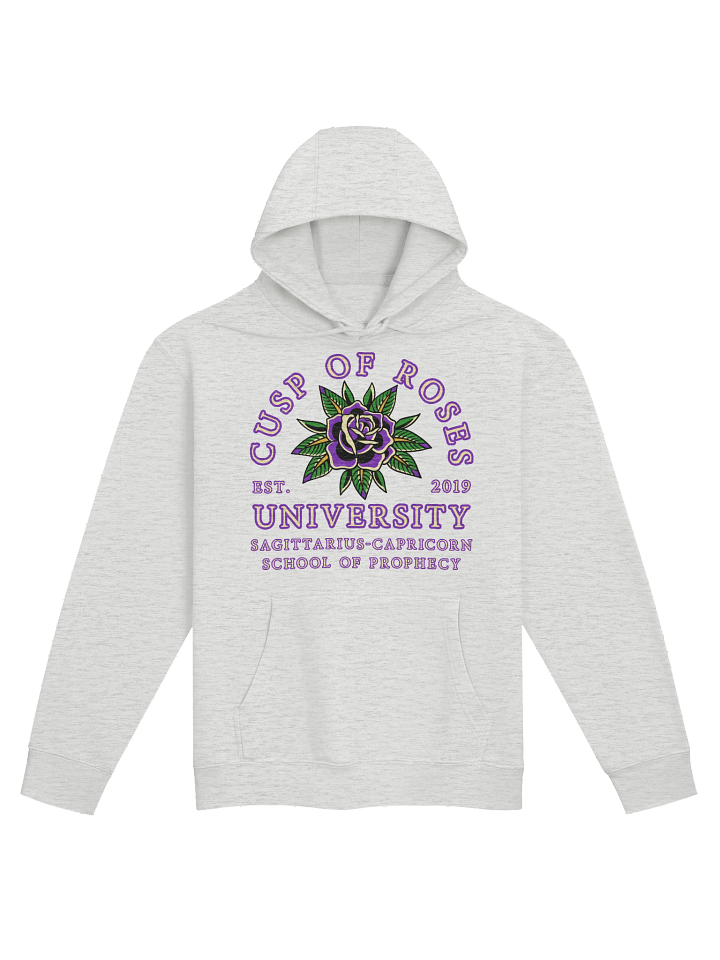 school of prophecy | hoodie product image (1)