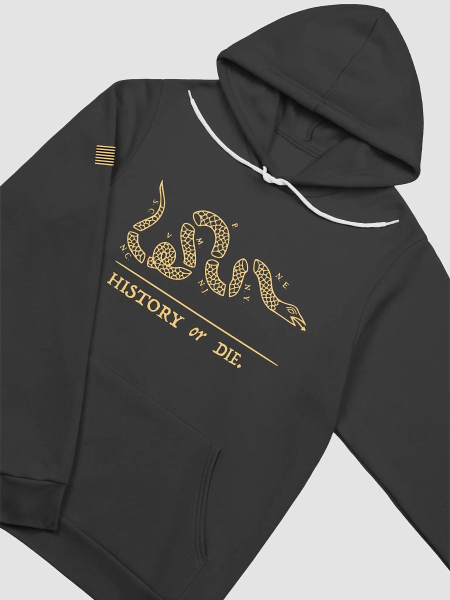 History or Die Hoodie product image (3)