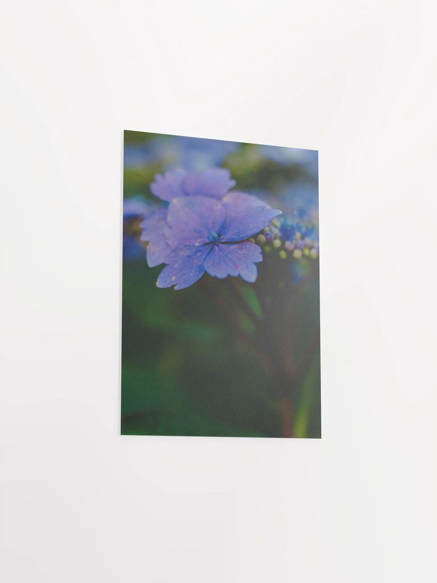 Blooming In The Sun product image (3)