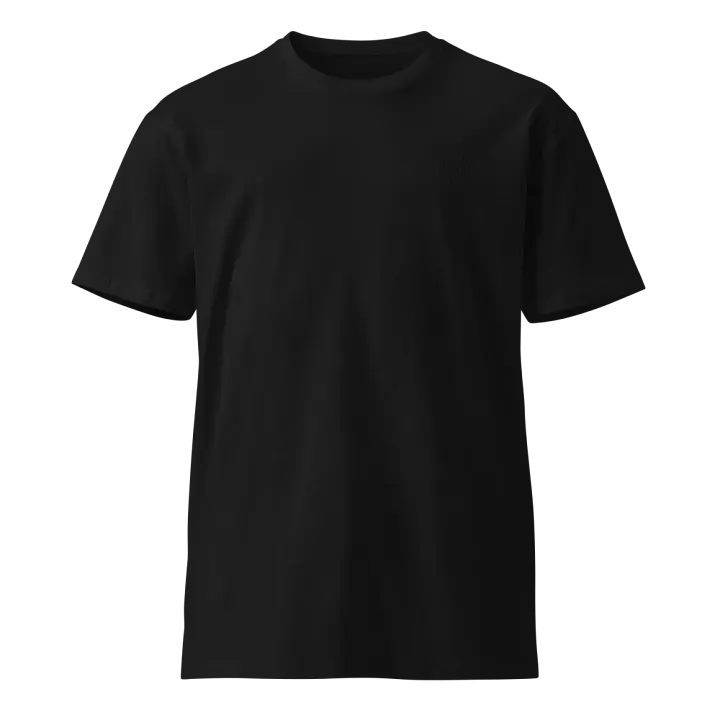 Embroided AJ T shirt product image (1)