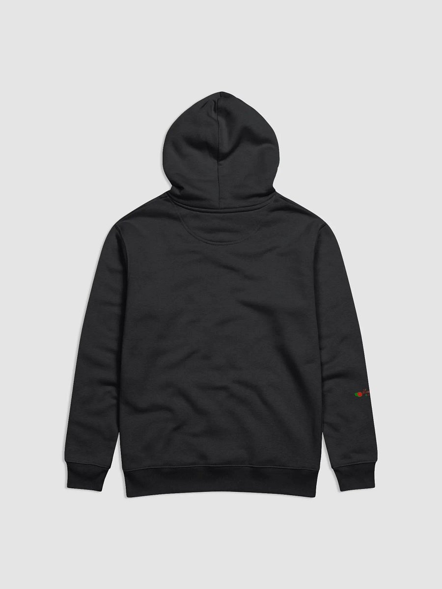 Raw Intuition Game Show Eco Hoodie product image (2)