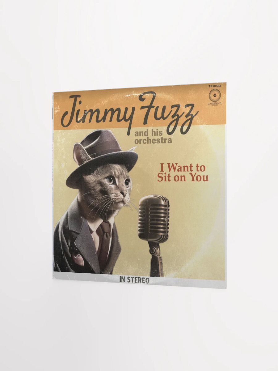 Jimmy Fuzz Poster - I Want To Sit On You album jacket (front) - 12