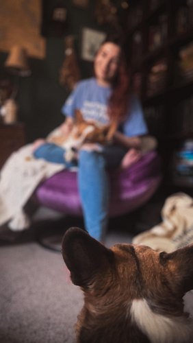 Parker and Fable hope you have a great day with lots of kiss and cuddles!

(they also say to tell you if you comment “StoryMa...